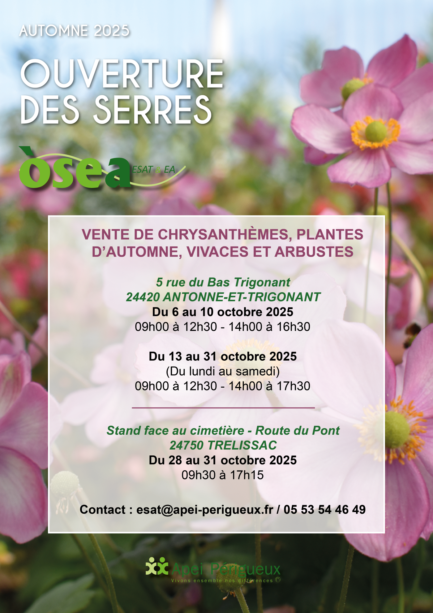 AFFICHE AUTOMNE 25